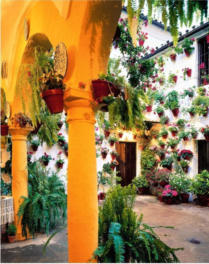 Ferienwohnung La Terraza Del Puente Y Mezqt-Catedral Córdoba Exterior foto
