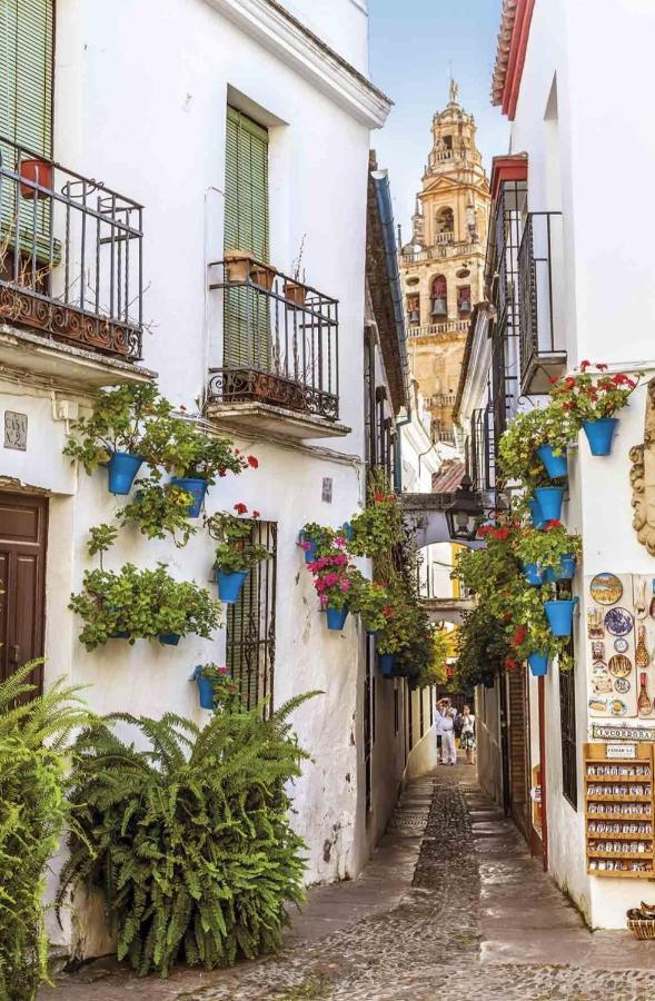 Ferienwohnung La Terraza Del Puente Y Mezqt-Catedral Córdoba Exterior foto