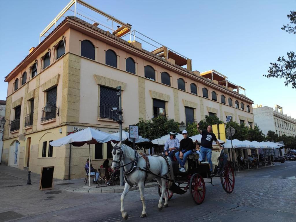 Ferienwohnung La Terraza Del Puente Y Mezqt-Catedral Córdoba Exterior foto